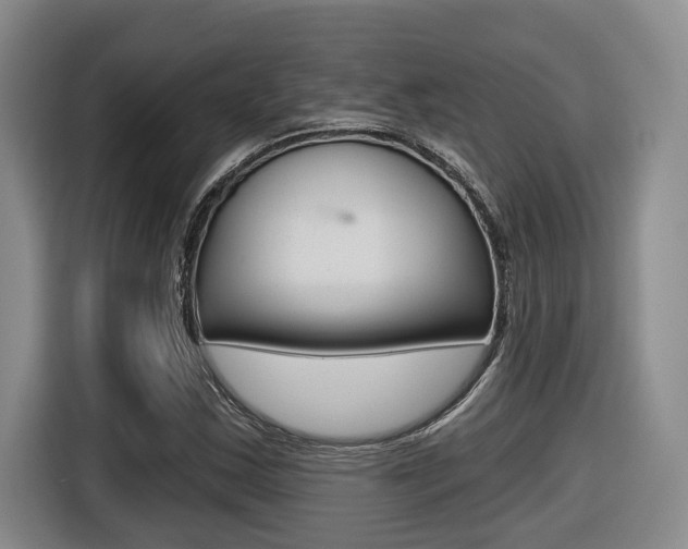X0000116571163200912100957
