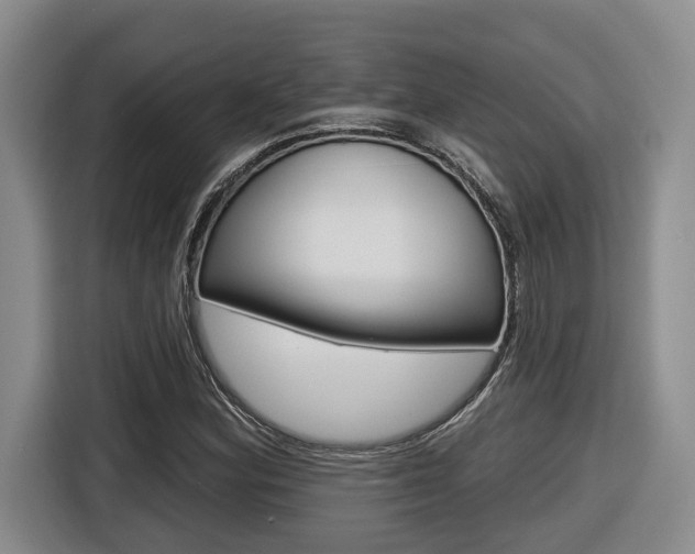 X0000116571164200912100957