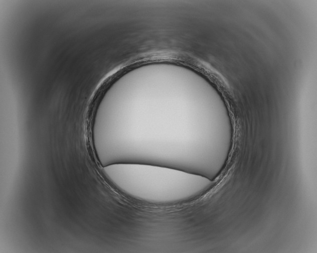 X0000116571166200912100957