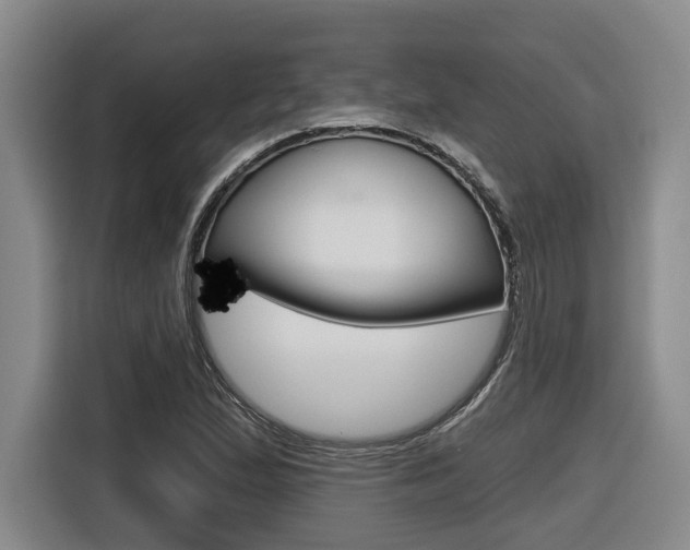 X0000116571167200912100957