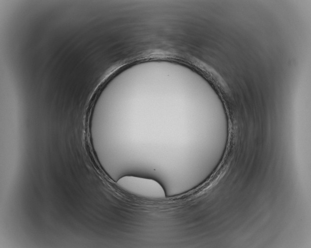 X0000116571170200912100957