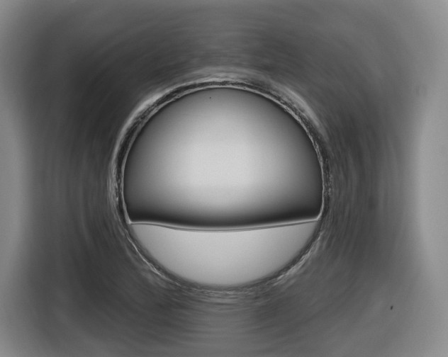 X0000116571172200912100957