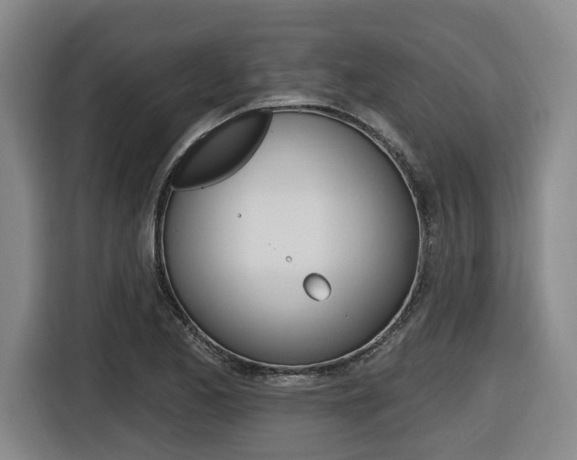 X0000116571173200912100957