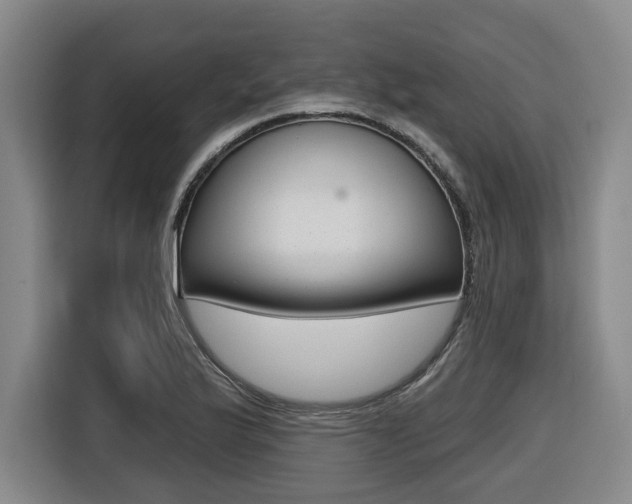 X0000116571175200912100957