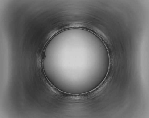 X0000116571177200912100957