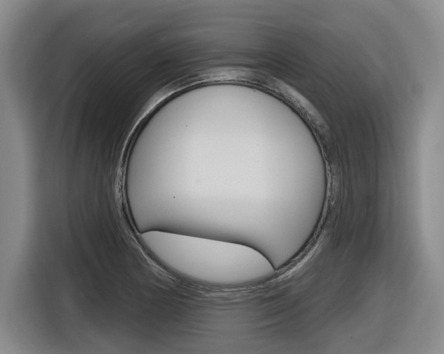 X0000116571178200912100957