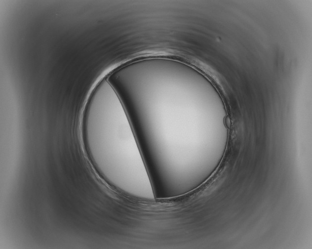 X0000116571179200912100957