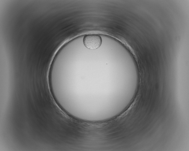 X0000116571181200912100957