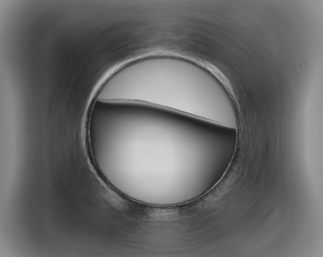 X0000116571183200912100957