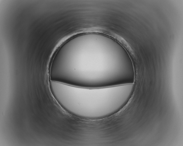 X0000116571184200912100957