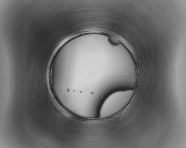 X0000116571187200912100957