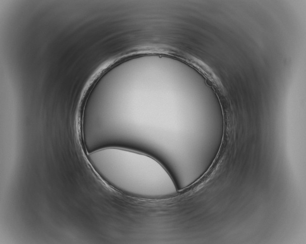 X0000116571188200912100957