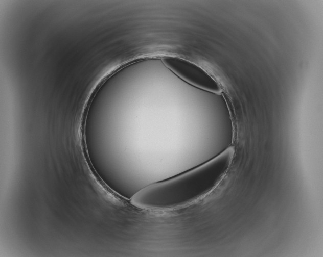 X0000116571189200912100957