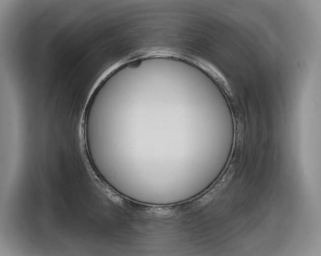 X0000116571190200912100957