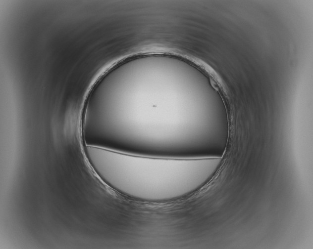 X0000116571191200912100957