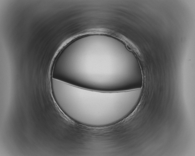 X0000116571192200912100957