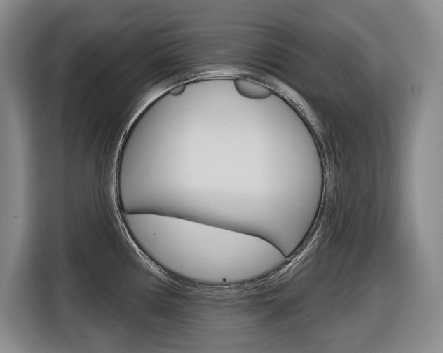 X0000116571194200912100957