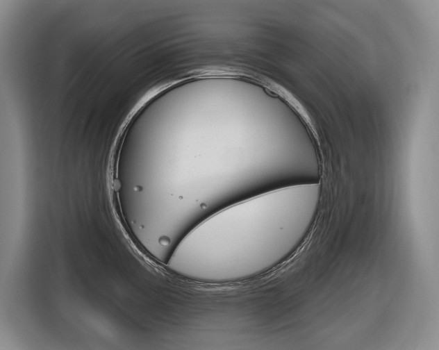 X0000116571195200912100957