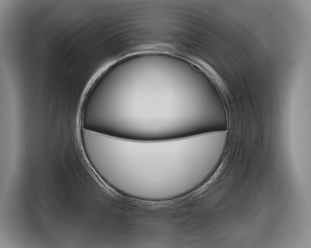X0000116571196200912100957