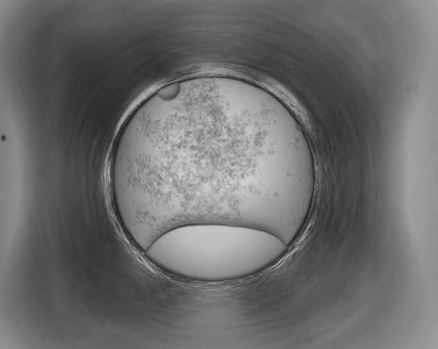X0000116571198200912100957