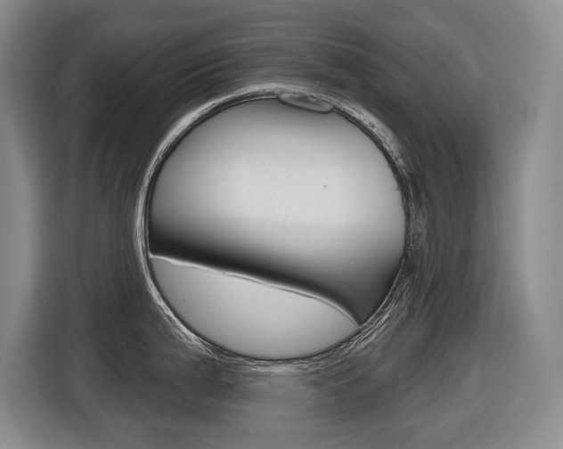 X0000116571199200912100957