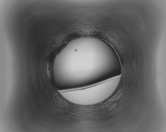 X0000116571202200912100956