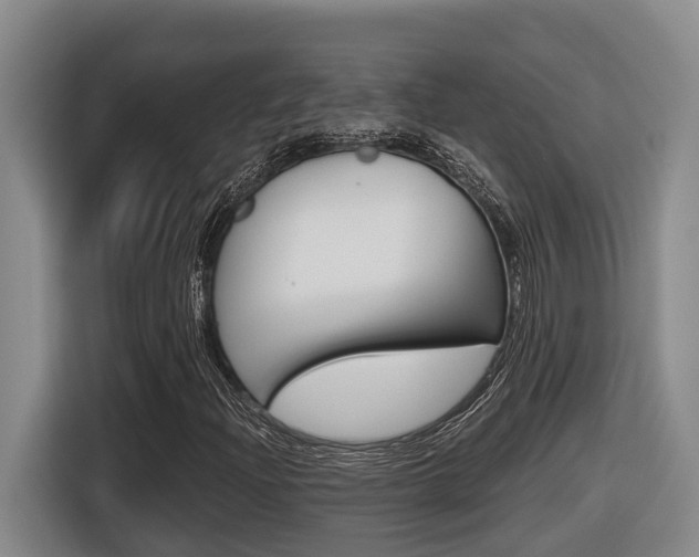 X0000116571204200912100956