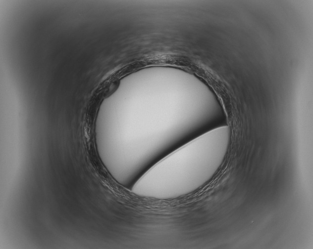 X0000116571206200912100956