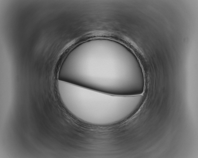 X0000116571213200912100956
