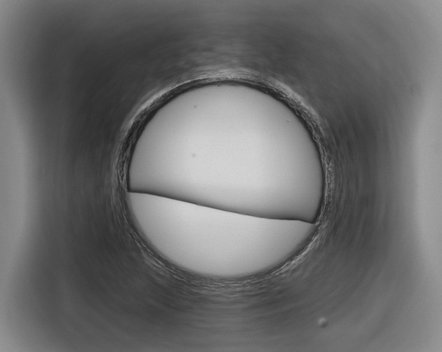 X0000116571215200912100957