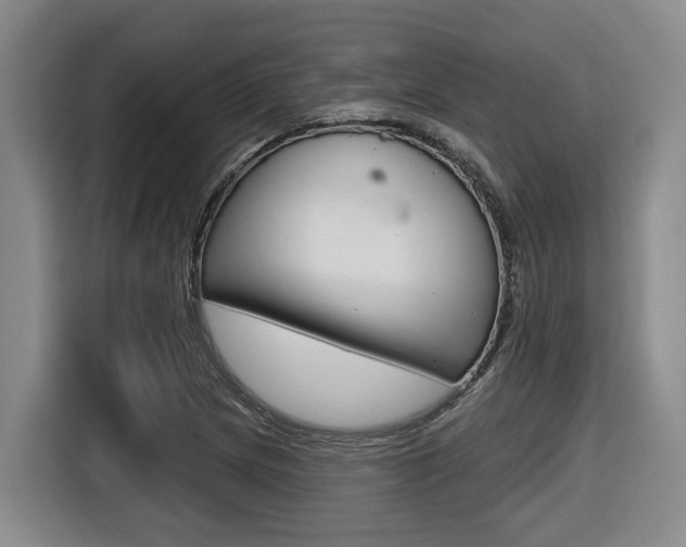 X0000116571217200912100957