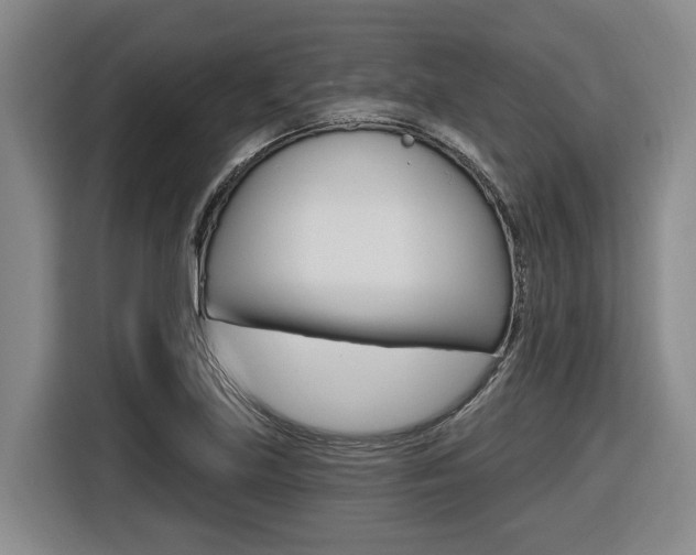 X0000116571219200912100957