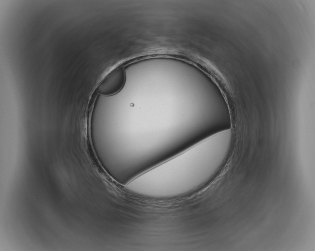 X0000116571220200912100957