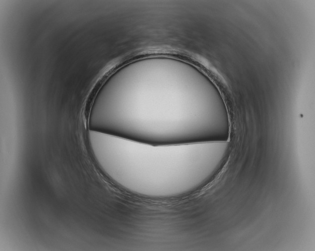 X0000116571221200912100957