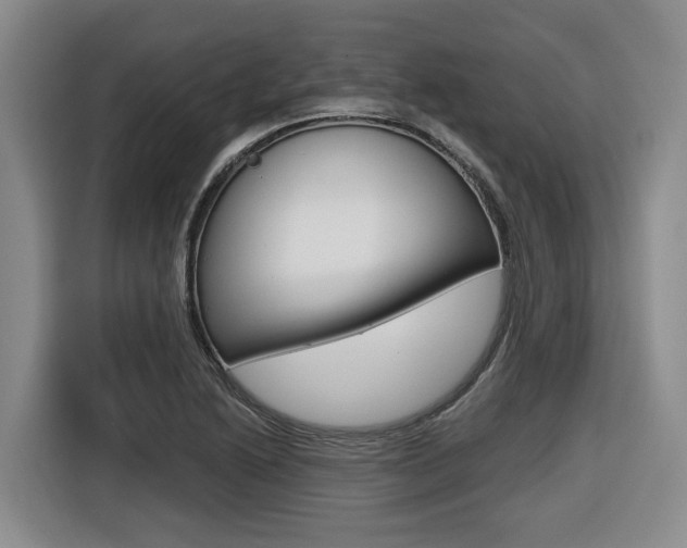 X0000116571222200912100957