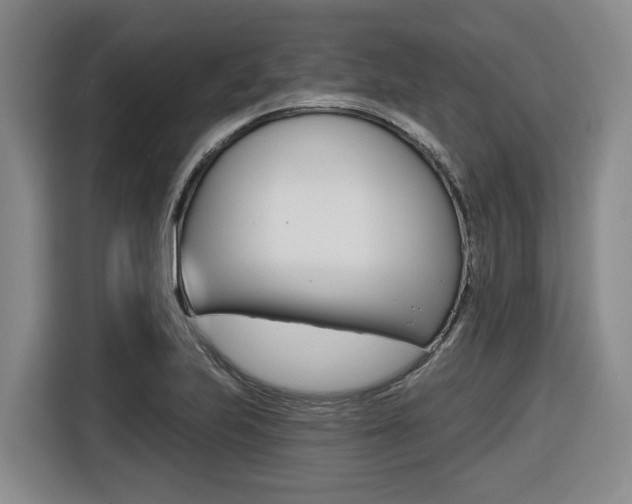 X0000116571223200912100957