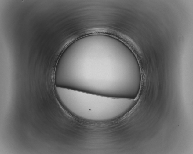 X0000116571225200912100957