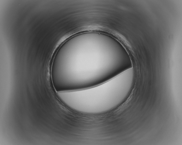 X0000116571226200912100957