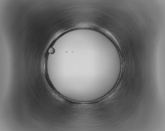 X0000116571227200912100957