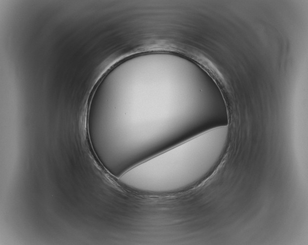 X0000116571228200912100957