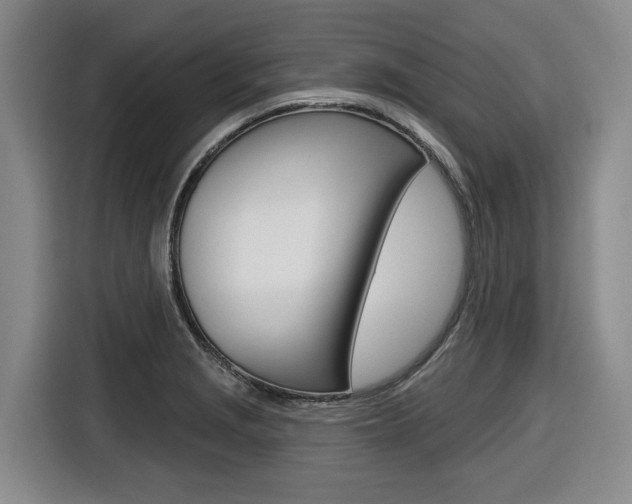 X0000116571229200912100957