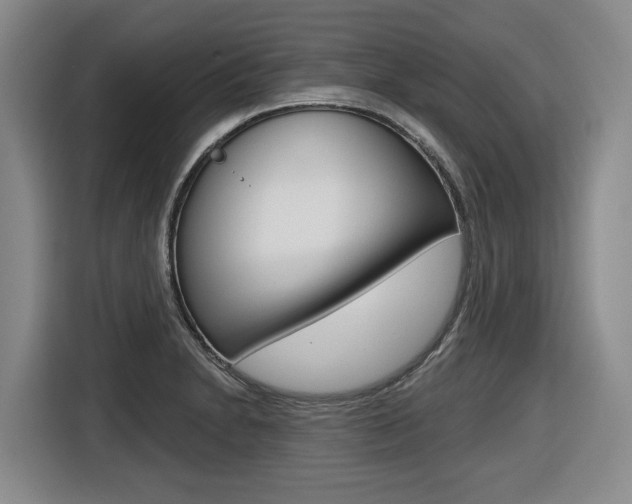 X0000116571230200912100957
