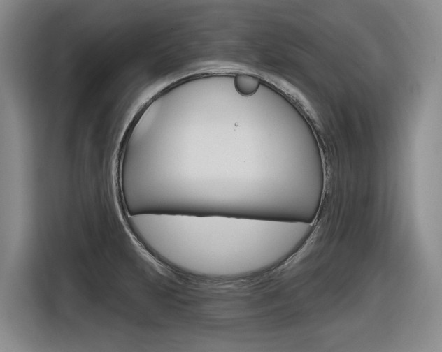 X0000116571231200912100957