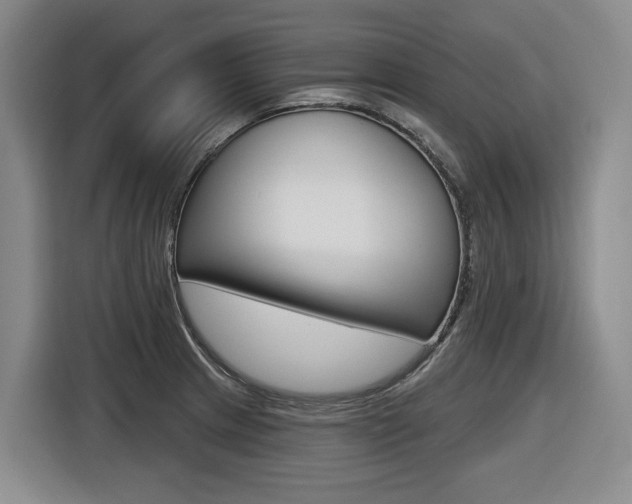 X0000116571233200912100957