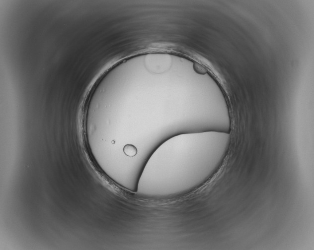 X0000116571235200912100957