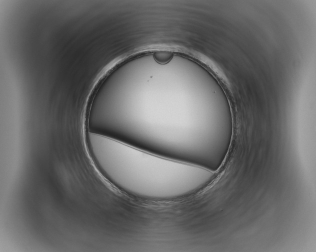 X0000116571237200912100957