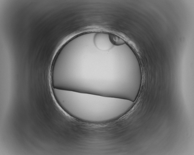 X0000116571239200912100957