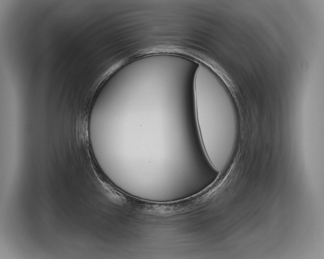 X0000116571241200912100957