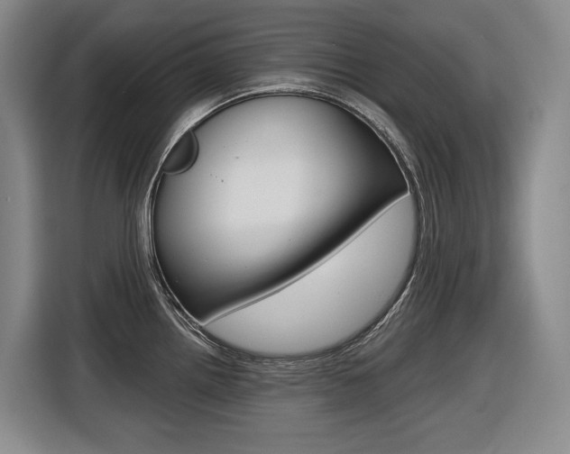 X0000116571242200912100957