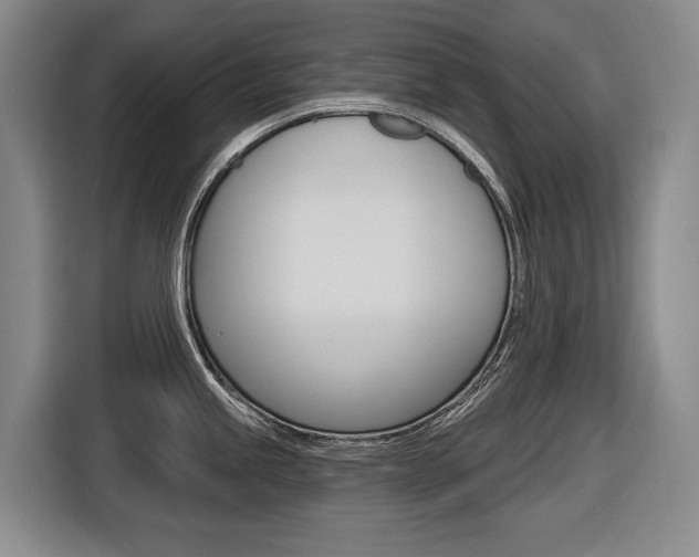 X0000116571245200912100957